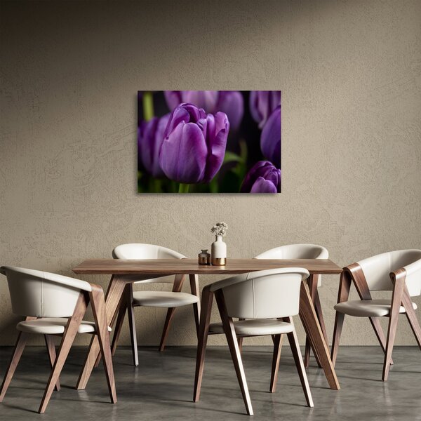 Obraz na szkle - kwiaty tulipanów (70x50 cm)