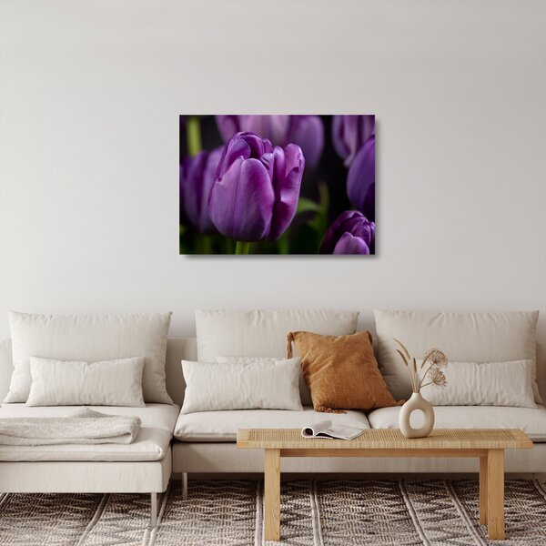 Obraz na szkle - kwiaty tulipanów (70x50 cm)