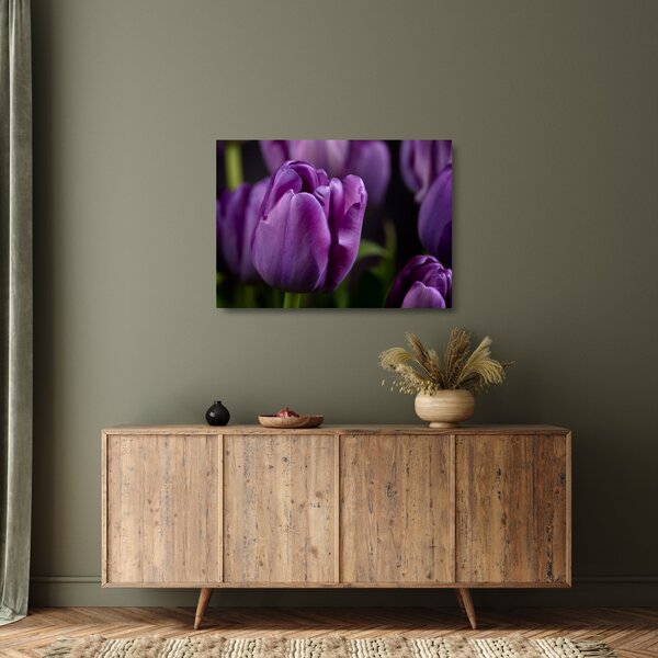 Obraz na szkle - kwiaty tulipanów (70x50 cm)