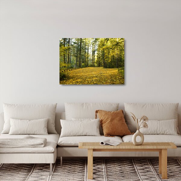 Obraz na szkle - las jesienią (70x50 cm)