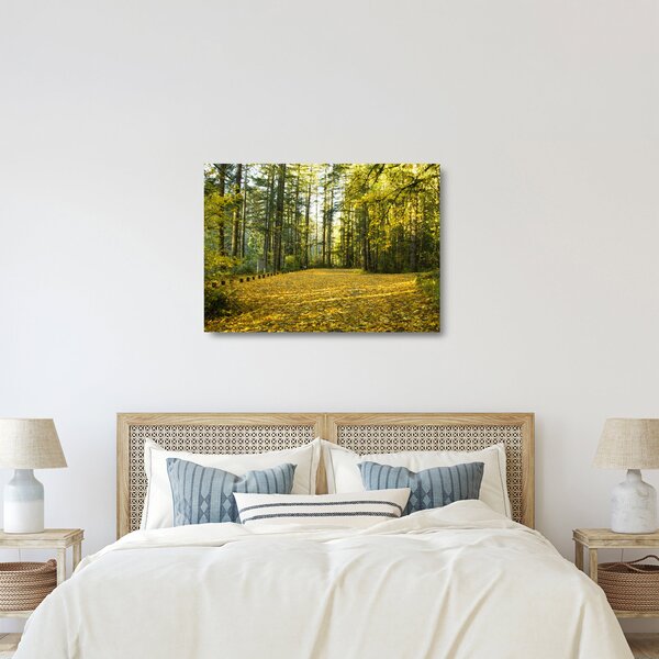 Obraz na szkle - las jesienią (70x50 cm)