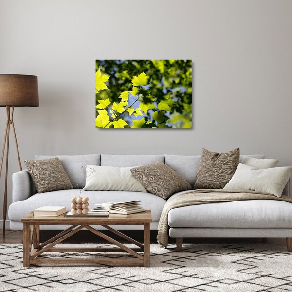 Obraz na szkle - liście klonu (70x50 cm)