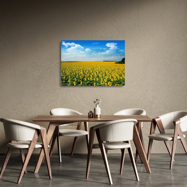 Obraz na szkle - ciąg słoneczników (70x50 cm)