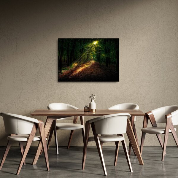Obraz na szkle - leśna ścieżka (70x50 cm)