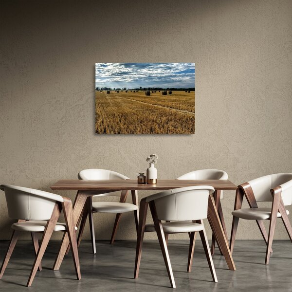 Obraz na szkle - zebrane pole zboża (70x50 cm)