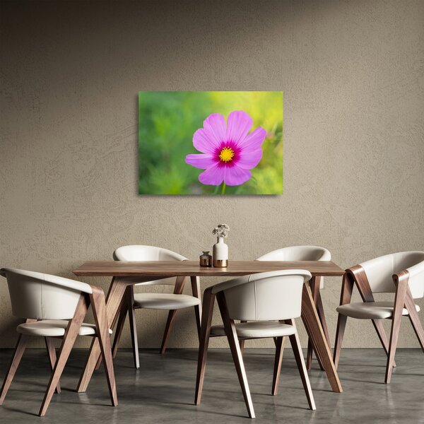 Obraz na szkle - polny kwiat (70x50 cm)