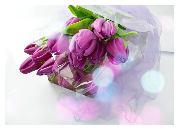 Obraz na szkle - bukiet tulipanów (70x50 cm)
