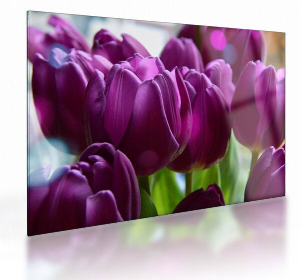 Obraz na szkle - tulipanów (70x50 cm)