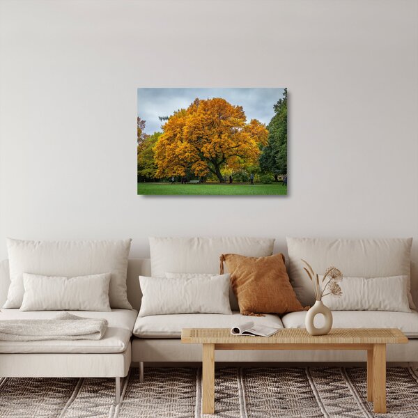 Obraz na szkle - drzewo (70x50 cm)
