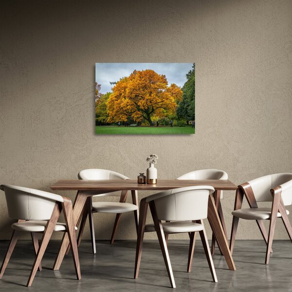 Obraz na szkle - drzewo (70x50 cm)