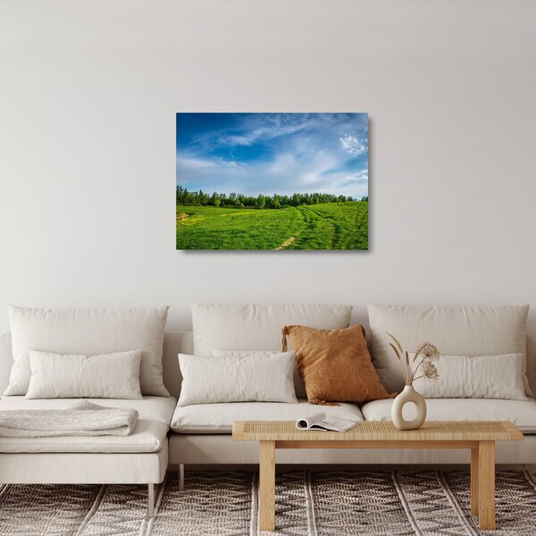 Obraz na szkle - łąka (70x50 cm)