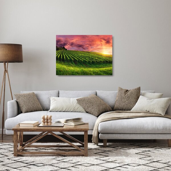 Obraz na szkle - winnica z kolorowym niebem (70x50 cm)