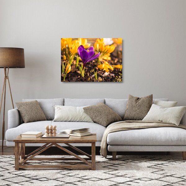 Obraz na szkle - fioletowy kwiat (70x50 cm)