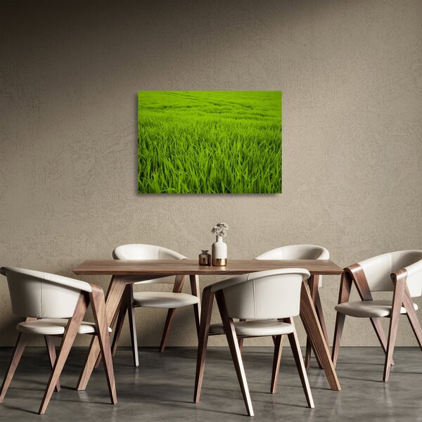 Obraz na szkle - trawa (70x50 cm)