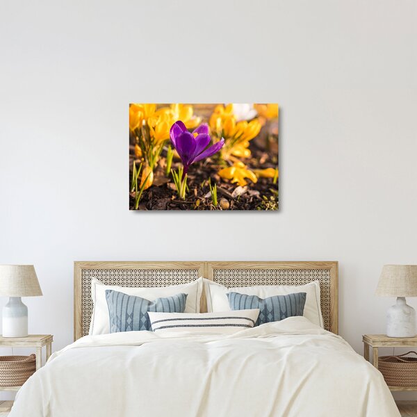 Obraz na szkle - fioletowy kwiat (70x50 cm)