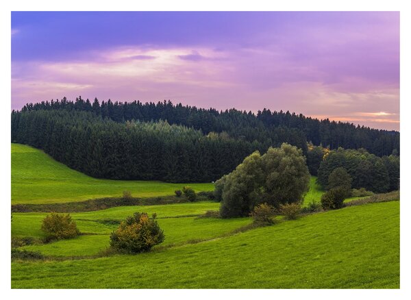Obraz na szkle - łąka (70x50 cm)