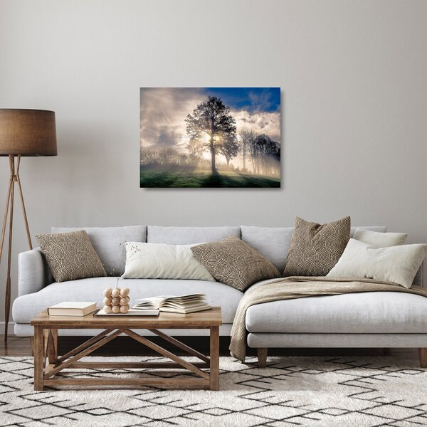 Obraz na szkle - drzewo we mgle (70x50 cm)