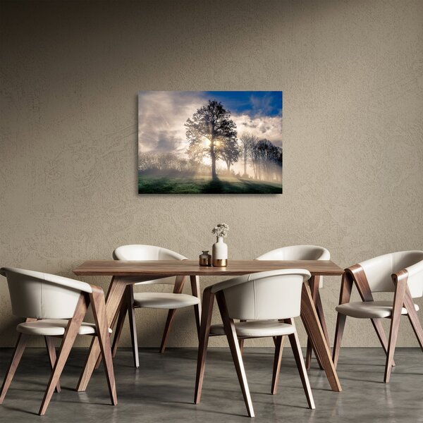 Obraz na szkle - drzewo we mgle (70x50 cm)
