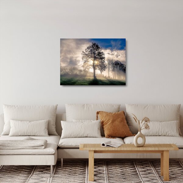 Obraz na szkle - drzewo we mgle (70x50 cm)