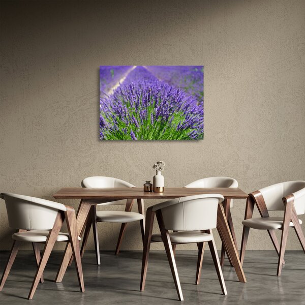 Obraz na szkle - lawenda (70x50 cm)
