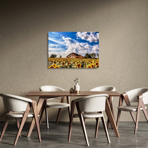 Obraz na szkle - pole słoneczników (70x50 cm)