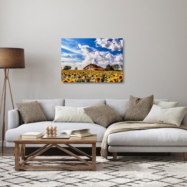 Obraz na szkle - pole słoneczników (70x50 cm)