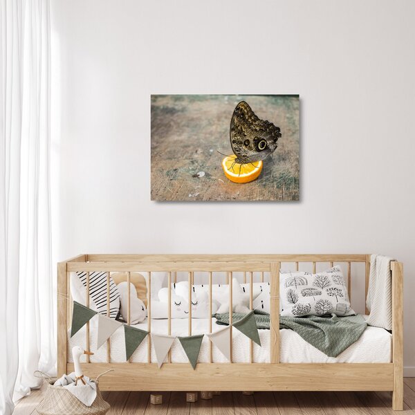 Obraz na szkle - motyl (70x50 cm)