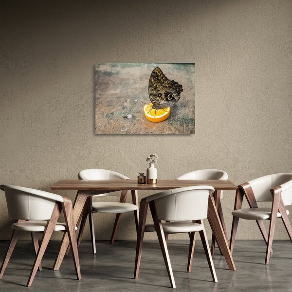 Obraz na szkle - motyl (70x50 cm)