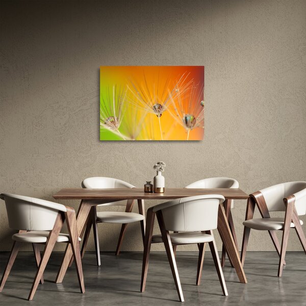 Obraz na szkle - krople na roślinie (70x50 cm)