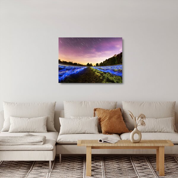 Obraz na szkle - kolorowe pole (70x50 cm)