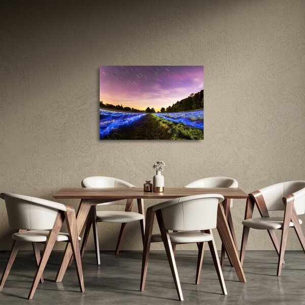 Obraz na szkle - kolorowe pole (70x50 cm)