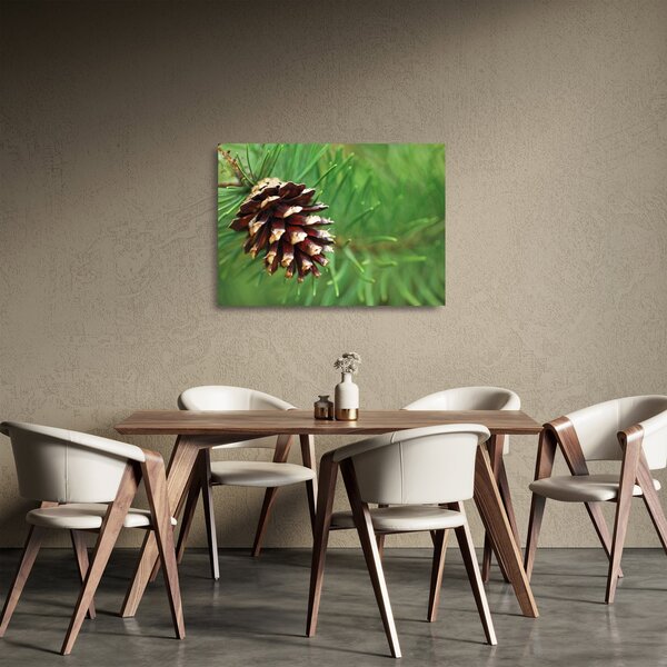 Obraz na szkle - szyszki (70x50 cm)