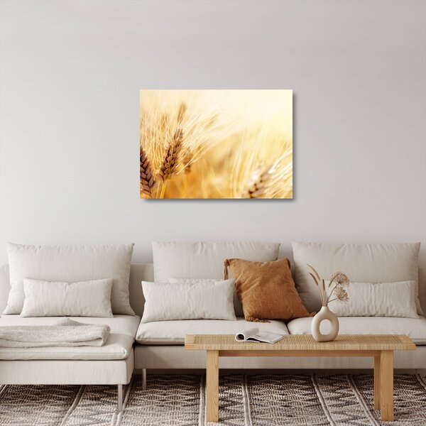 Obraz na szkle - szczegóły ziarna (70x50 cm)