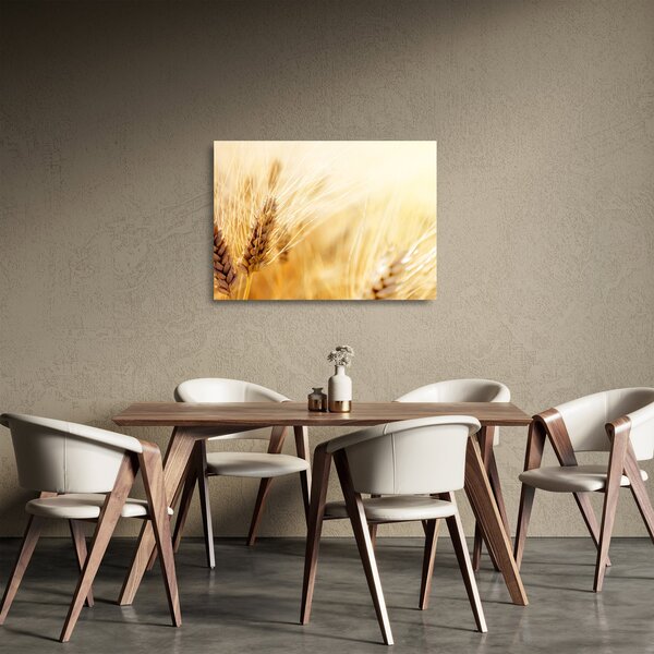 Obraz na szkle - szczegóły ziarna (70x50 cm)