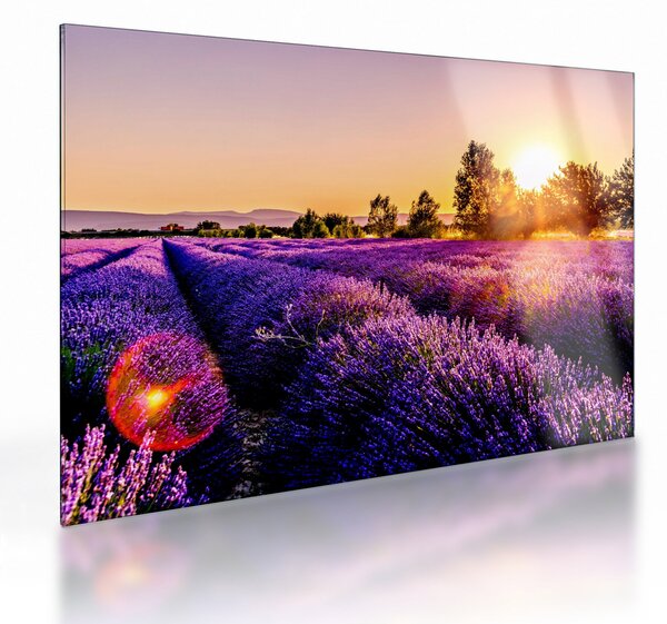 Obraz na szkle - lawendowe pole (70x50 cm)