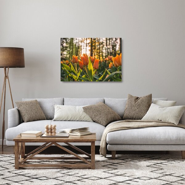 Obraz na szkle - pomarańczowe tulipany (70x50 cm)