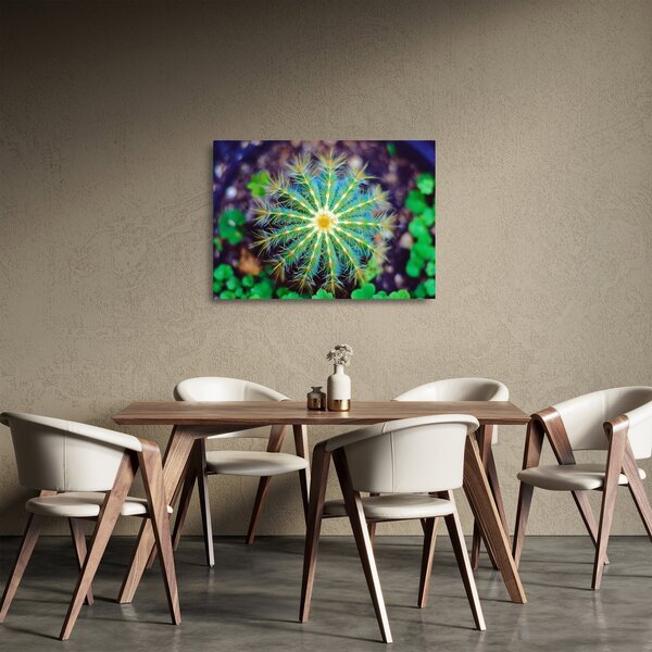 Obraz na szkle - kaktus (70x50 cm)