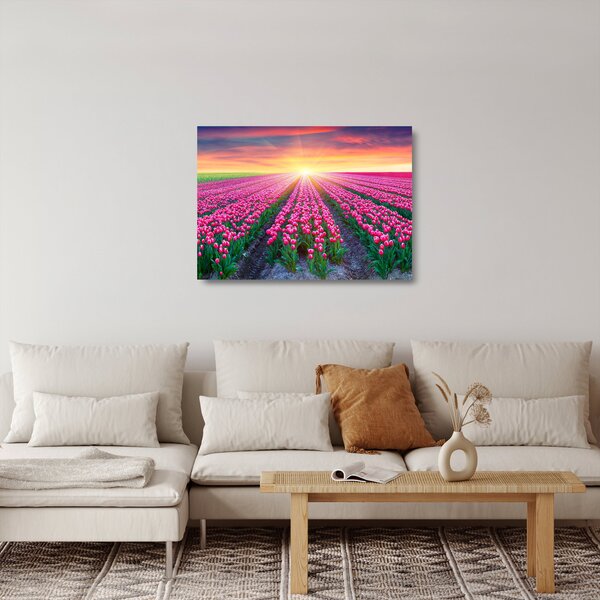 Obraz na szkle - pole tulipanów ze słońcem (70x50 cm)