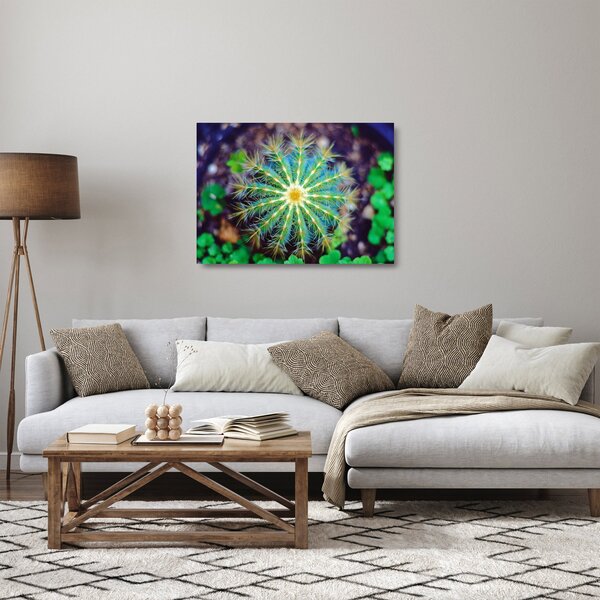 Obraz na szkle - kaktus (70x50 cm)