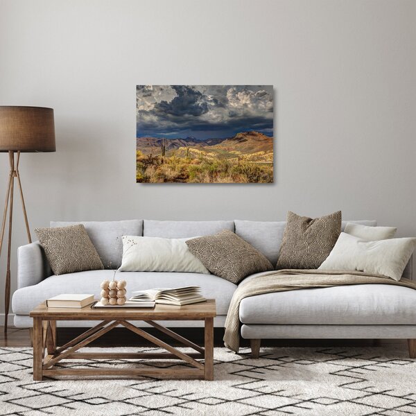 Obraz na szkle - kaktusy w przyrodzie (70x50 cm)
