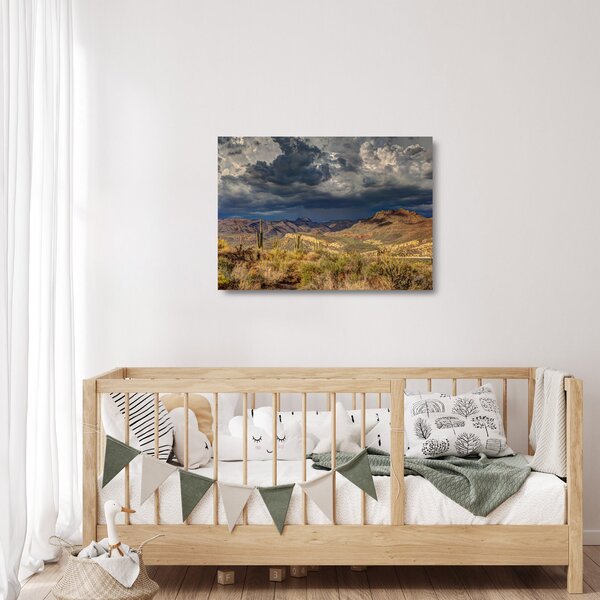 Obraz na szkle - kaktusy w przyrodzie (70x50 cm)