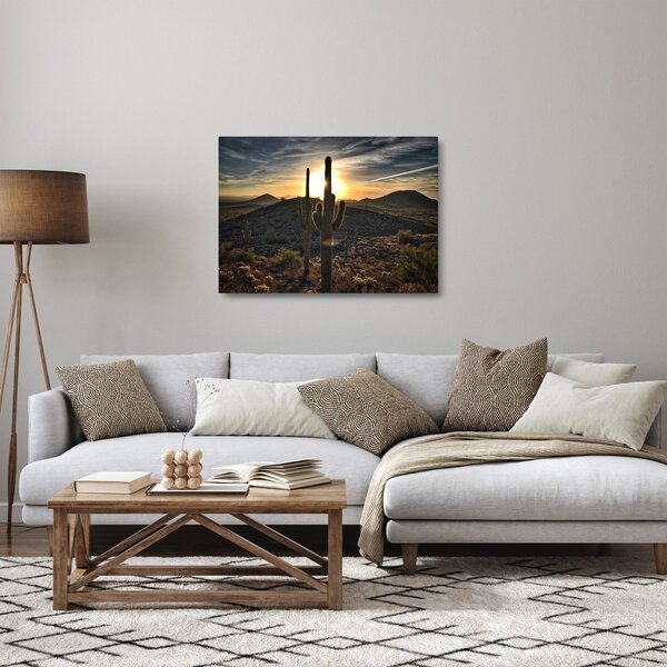 Obraz na szkle - kaktusy w słońcu (70x50 cm)
