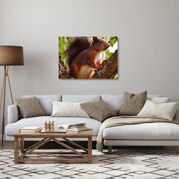 Obraz na szkle - wiewiórka (70x50 cm)