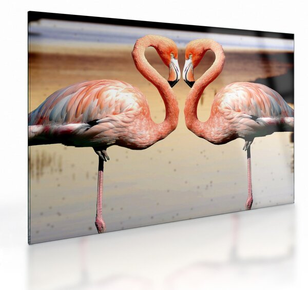 Obraz na szkle - dwa flamingi (70x50 cm)