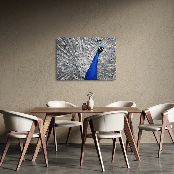 Obraz na szkle - niebieski paw (70x50 cm)