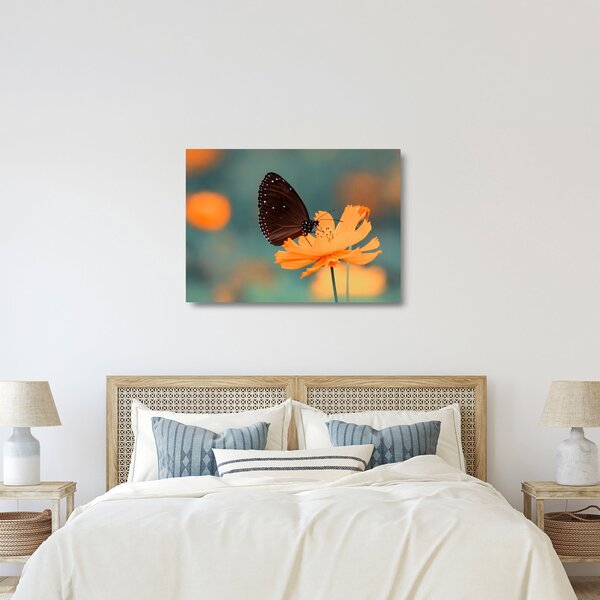 Obraz na szkle - motyl na pomarańczowym kwiatku (70x50 cm)