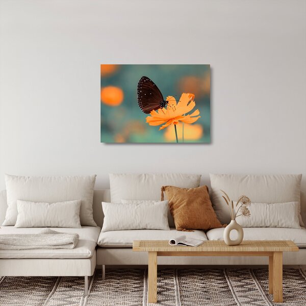 Obraz na szkle - motyl na pomarańczowym kwiatku (70x50 cm)