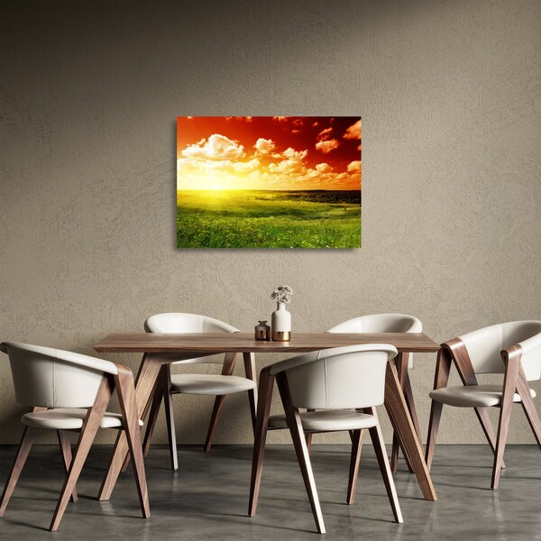 Obraz na szkle - letnia łąka (70x50 cm)
