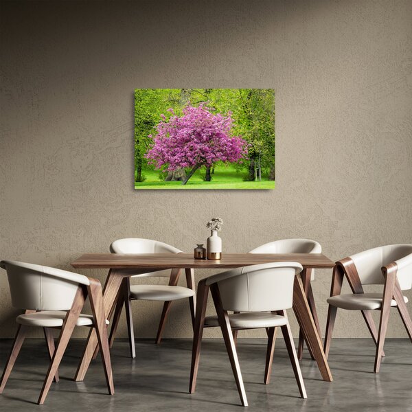 Obraz na szkle - kwitnące drzewo na łące (70x50 cm)