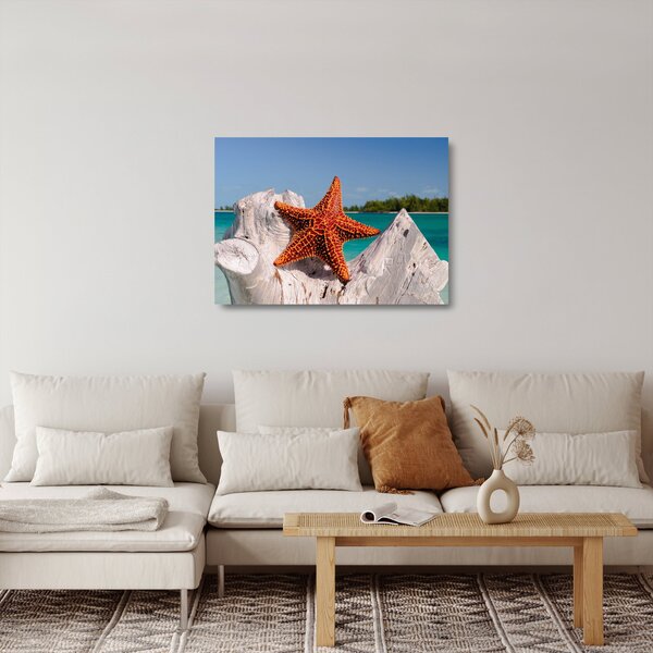Obraz na szkle - rozgwiazda (70x50 cm)